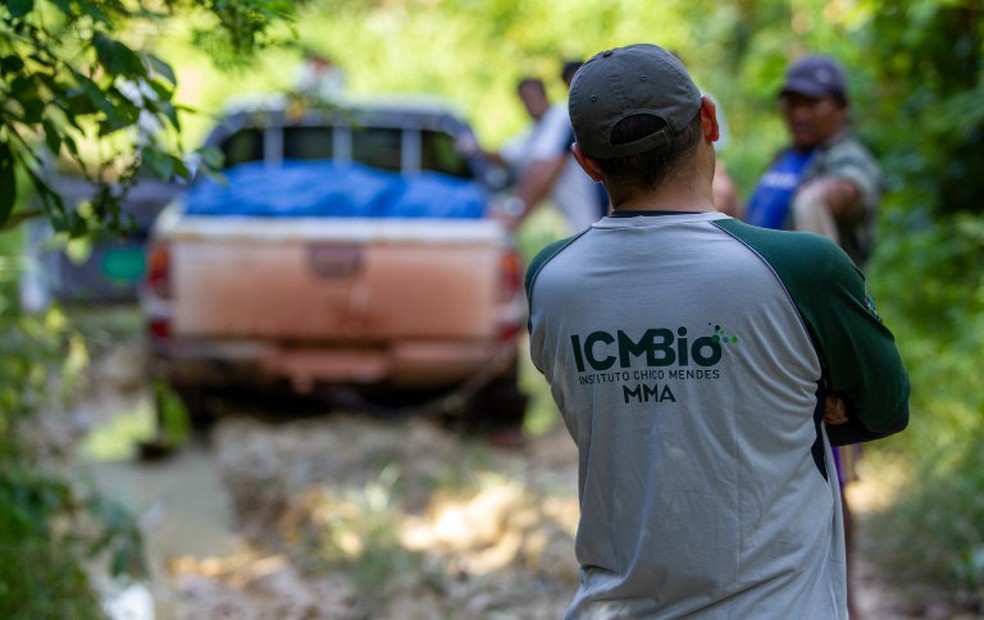 Concurso ICMBio divulga o edital para analistas e técnicos em diferentes níveis de escolaridade, inscrições em dezembro de 2021.Foto: G1